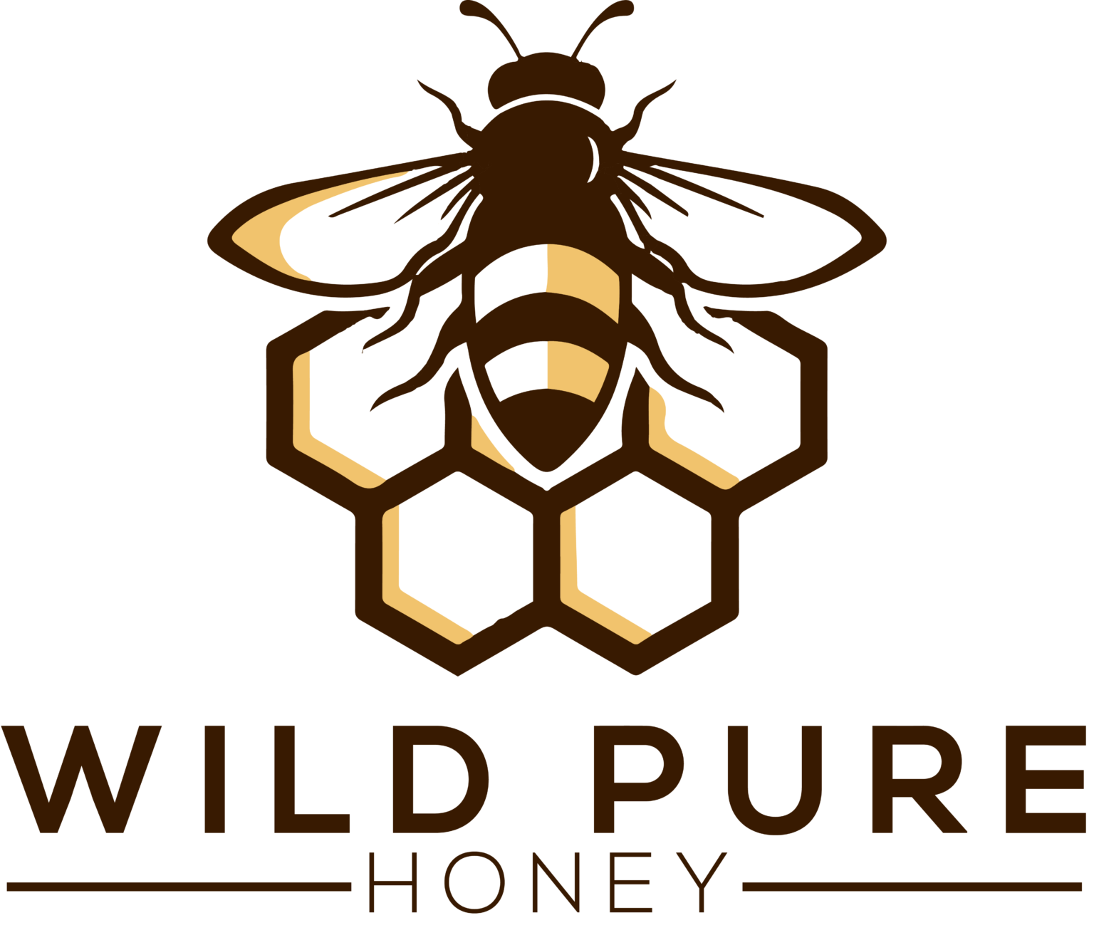 Pure Honey In Pakistan Wild Pure Honey