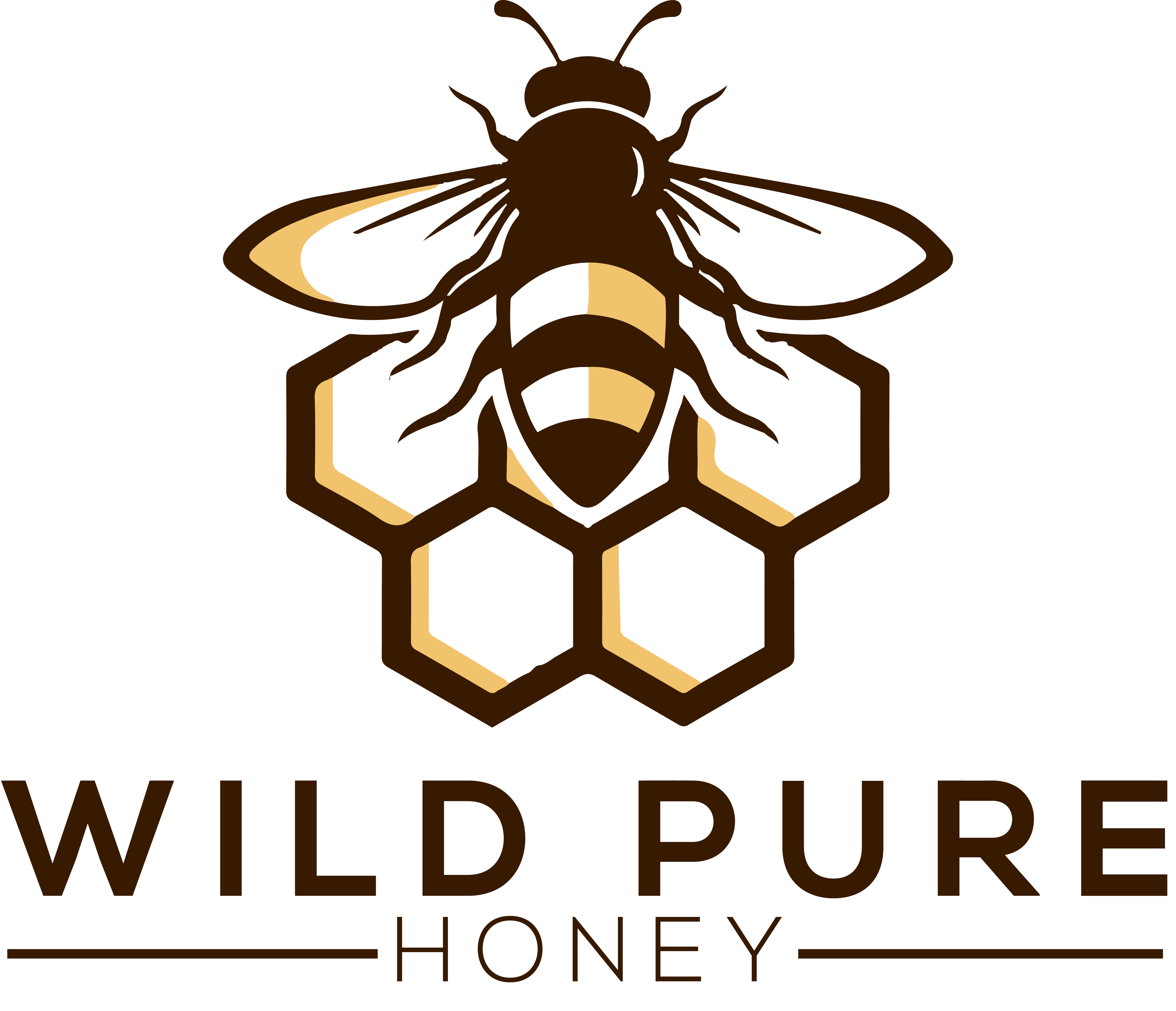 Wild Pure Honey Logo